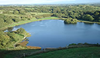 Feature Image 1